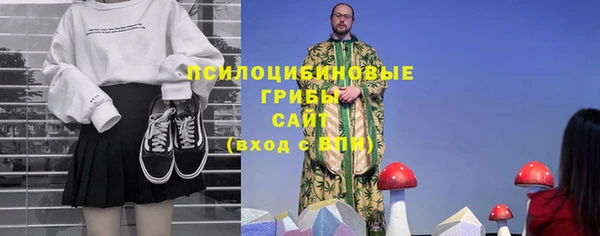 СК Аркадак