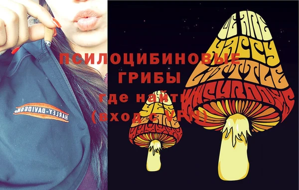 СК Аркадак