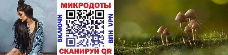 blacksprut ONION  Нягань  Галлюциногенные грибы мицелий  как найти наркотики 